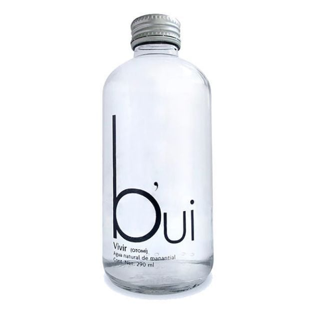 Agua Bui Natural 24 de 290 mL